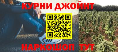 крисы Бузулук