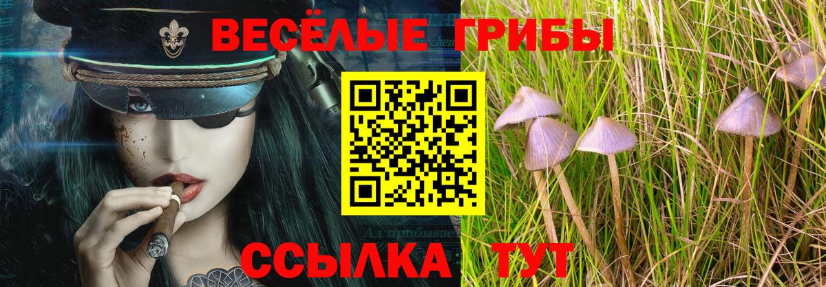 Псилоцибиновые грибы ЛСД  Псилоцибиновые грибы прущие грибы  Вход с VPN  Куйбышев 
